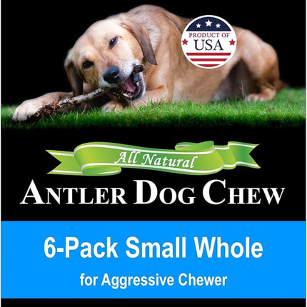 6-Pack Small Whole Elk Antler Dog Chews (5 to 7+ in) – Long Lasting Natural Dog Chew Bones for Small Dogs Under 20 lbs, Aggressive Chewers, Teeth Cleaning, No Rawhide