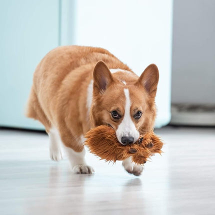 STAR WARS for Pets Plush Chewbacca Flattie Dog Toy | Soft Toys for Dogs, Brown, Large - 9" | Cute Dog Toy, Squeaky Dog Chew Toy for Pets from