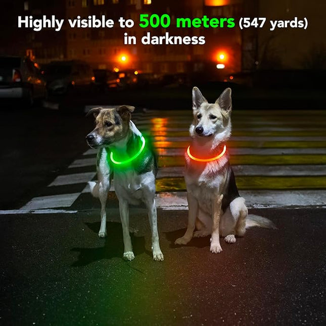 Lighted Dog Collar - Waterproof Puppy Collar Light Rechargeable, High Visibility Glowing Dog Lights for Night Walking (Orange)