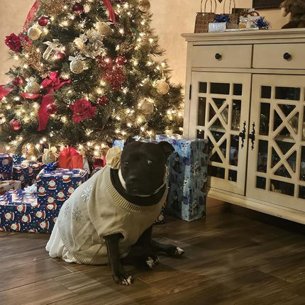 ARING PET Velvet Dog Collars, Black Soft Pet Collar with Detachable Felt Flower Metal Buckle for Puppy Small Medium Large Boy Girl Dogs-XL