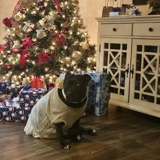 ARING PET Velvet Dog Collars, Purple Soft Pet Collar with Detachable Felt Flower Metal Buckle for Puppy Small Medium Large Boy Girl Dogs-S