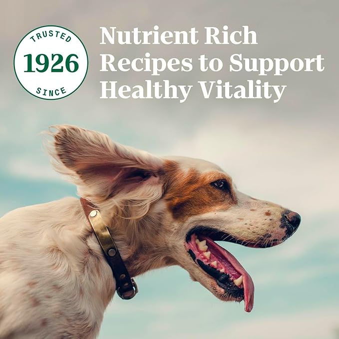 Nutro Natural Choice Small Bites Adult Dry Dog Food, Salmon and Brown Rice Recipe, 28 lbs.