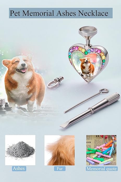 Farfume Personalized Pet Urn Necklace for Dog Cat Ashes Cremation Pet Memorial Customized Photo Text Engraving Pendant Keepsake Funeral Jewelry