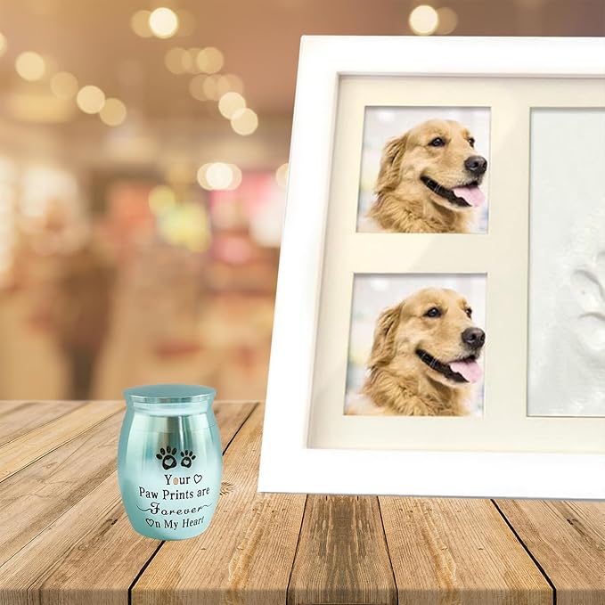 Small Pet Urns for Dogs Ashes Mini Urn Dog Ashes Cremation Keepsake Pet Memorial Urns Gift，Blue B