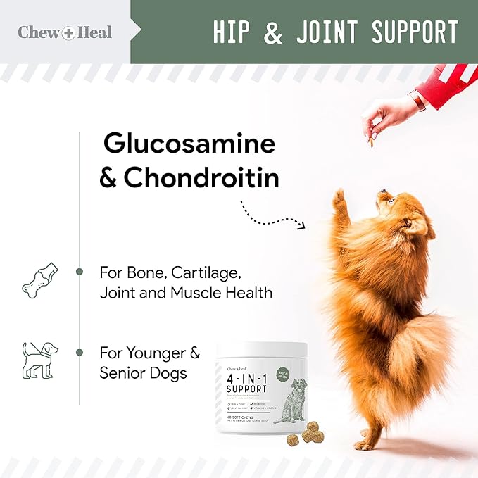 All in 1 Dog Vitamins and Supplements, 240 Soft Chew Multivitamins with Glucosamine, Probiotics, Omega Fish Oil -for Skin, Coat, Hip, Joint & Gut Health -Senior & Puppy (2 Packs of 120)