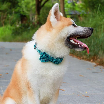 Faleela Soft &Comfy Bowtie Dog Collar,Detachable and Adjustable Bow Tie Collar,for Small Medium Large Pet (Medium (Pack of 1), Green)