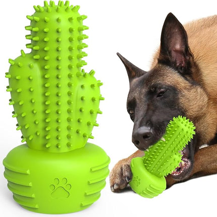 Dog Chew Toys & Teeth Cleaning Brush - Dental for Small, Medium & Large Dogs, Rubber Squeaky Toys for Aggressive Chewers, Cactus Tough Toys
