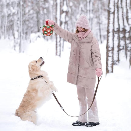 QDAN Christmas Dog Balls with Straps, Soccer Ball for Dogs for Small Medium Pet, Interactive Rope Toys, Puppy Birthday Gifts (6 Inch)