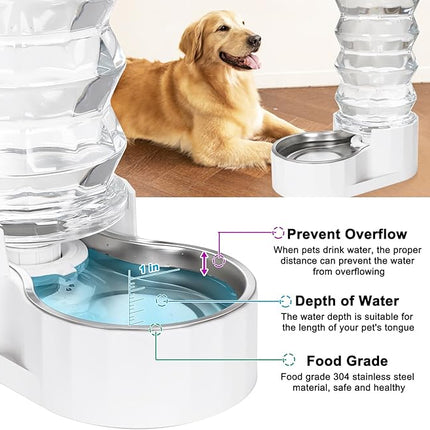 RIZZARI Large Gravity Water Dispenser: 8L Automatic Water Feeder with Stainless Steel Bowl - Two Caps and Filters for 30-60 LB Dogs with Spinal Issues - for Living Room Garage