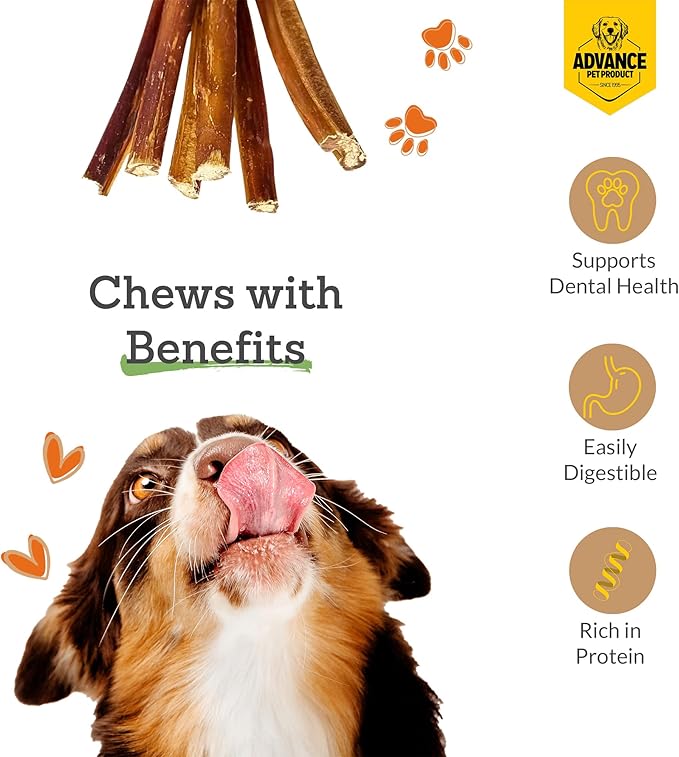 6 Inch Bully Sticks (Pack of 5) - 100% Beef, Odor Free Dog Chews for Aggressive Chewers - Long Lasting, Gluten-Free, Easy to Digest, High Protein & Rawhide Free Chews for Dogs