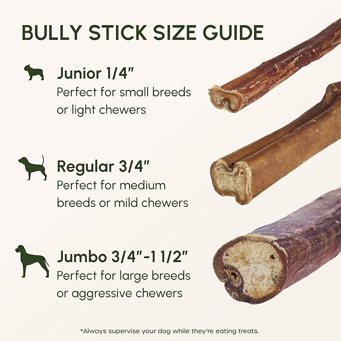 Downtown Pet Supply Bully Sticks for Dogs - Natural 6 Inch Beef Chews, Odor-Free & Rawhide-Free, Long Lasting Dog Treats for Aggressive Chewers - Healthy, Safe & Delicious Chews Dogs Love (48 Pack)