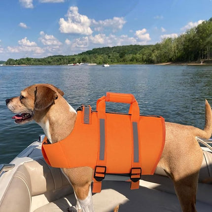 Queenmore Dog Life Jacket - Adjustable Swim Vest with Rescue Handle, Zipper (Orange, XS)