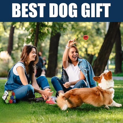 AMA SPORT Small Tennis Balls for Dogs 12 Pack 2.0" Multi Colors Dog Tennis Balls for Puppy Small Dog Toys, Designed for Dogs Floating Water-Hunting Fetch Fun Playing Daily Exercise Mid-air Catching