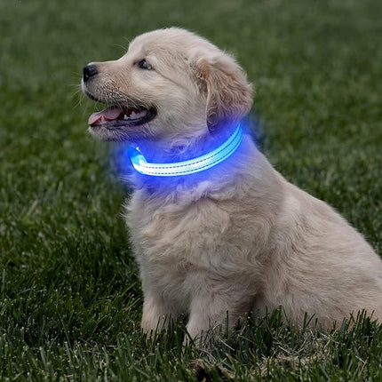 Light Up Dog Collar for Small Dogs, Reflective LED Dog Collar Rechargeable Puppy Collar Glowing Cat Collars Safety Dog Lights for Night Walking (Royal Blue)