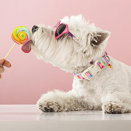ARING PET Summer Dog Collar-Cute Popsicle Dog Collar for Small Dogs, Adjustable Multicolor Ice Cream Pet Collars Puppy Collar for Small Medium Large Dogs