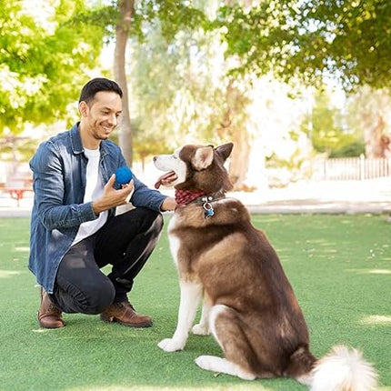 Snug Rubber Dog Balls for Small and Medium Dogs - Tennis Ball Size - Virtually Indestructible (3 Pack - Cool)