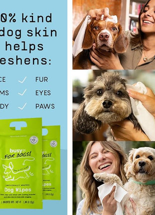 Busy Co. - Hypoallergenic Dog Wipes, Cleaning and Odor Control Grooming Wipes for Paws, Body, and Butt, Perfect for Puppy and Adult Dogs, Individually Wrapped, Unscented (Unscented, 20 Grooming Wipes)