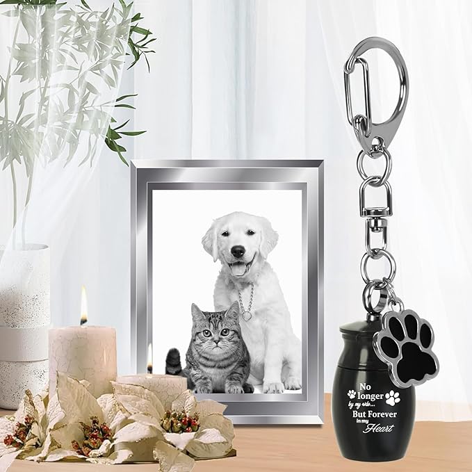 4 Pcs Pet Urns Keychain, Pet Ashes Keepsake Stainless Steel Urns Keychain for Dogs Cats with 4 Storage Bags