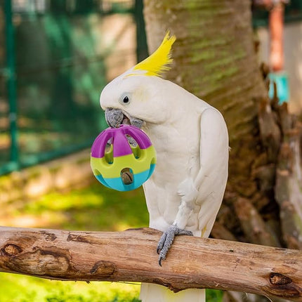 Hypeety Pet Parrot Toy Plastic Colorful Birds Ball with 1 Bell for Budgie African Grey Cockatoo Cockatiel Sun Conures 1 Ball