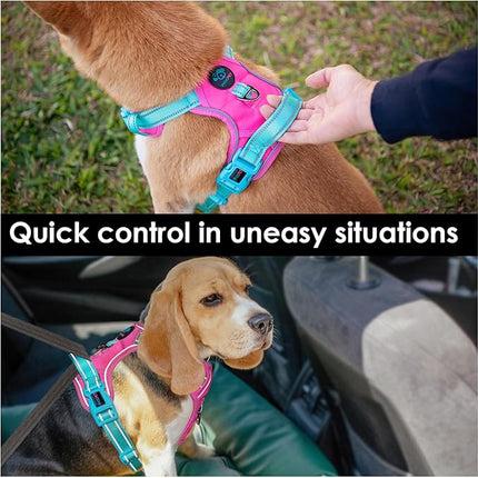 PHOEPET No Pull Dog Harness, Unique Colors Reflective Adjustable Dog Vest, with Soft Training Handle Metal Clips for Small Medium Large Dogs (Pink Base & Green Straps,M)