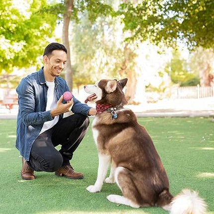 Snug Rubber Dog Balls for Small and Medium Dogs - Tennis Ball Size - Virtually Indestructible (3 Pack - Chic)
