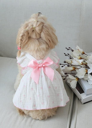 QWINEE 2 Piece Cute Heart Pattern Dog Dress Ruffle Trim Princess Dress Cat Vest Dress Lace Trim Summer Dress Pet Clothes for Small Medium Cats Dogs Kitten Puppy Multicolor A XX-Large