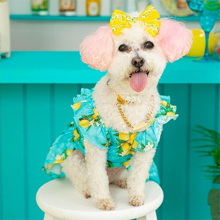 Fitwarm Lemon Dog Dress, Dog Clothes for Small Dogs Girl, Pet Cat Apparel, Teal Blue, Yellow, Green, XXS