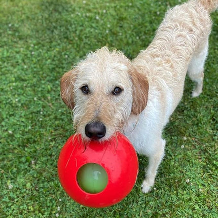 Jolly Pets Teaser Ball Dog Toy, Medium/6 Inches, Red