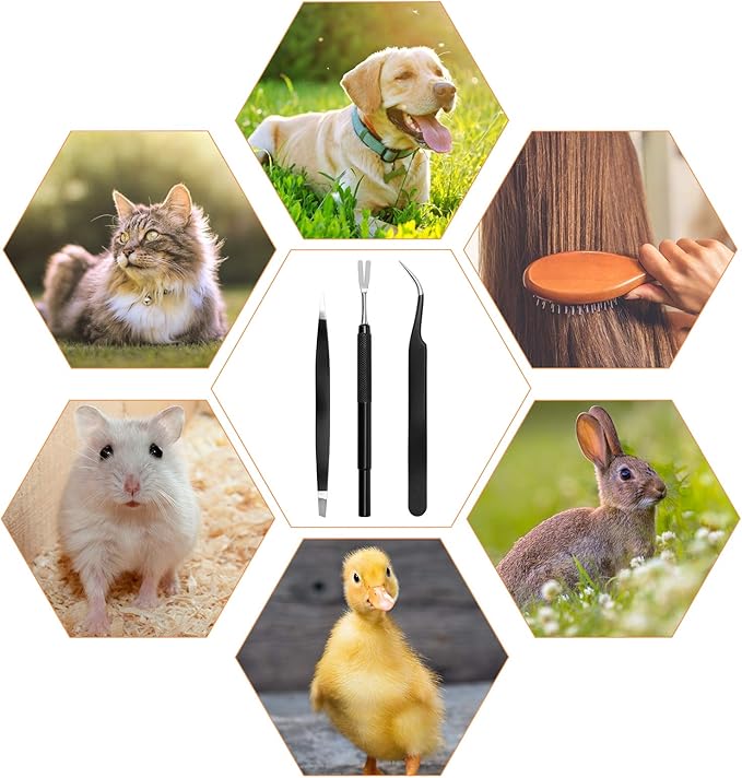 3 in 1 Tick Remover Kit, Black Tick Remover Tweezers Stainless Steel Tick Remover Tools Set for Pet Dog, Cat, Human with Storage Box (Black)