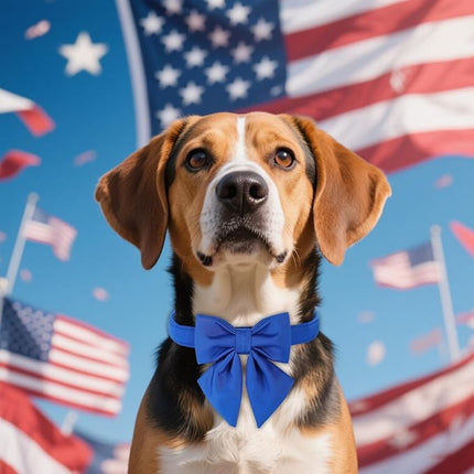 Maca Bates Klein Blue Dog Collar with Cute Solid Sailor Bow Tie for Large Girl Boy Dogs,Adjustbale Durable Breakaway Soft Collars with Bowtie for Female Male Puppy,Pet with Metal Buckle