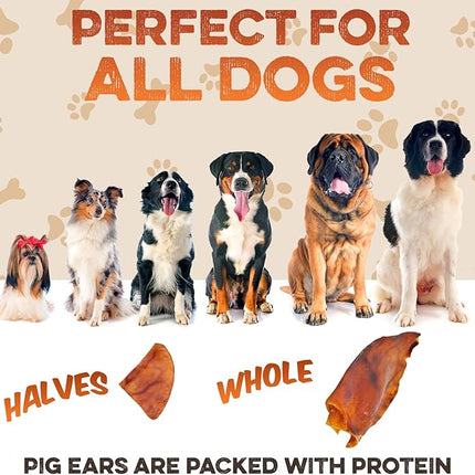 BRUTUS & BARNABY Whole Pig Ears for Dogs, 100 Ct. – All-Natural Single Ingredient Dog Chews, Slow Cooked & Fully Digestible Rawhide Alternative