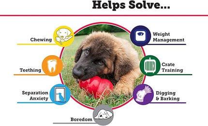 2 Pack Large Kong Classic