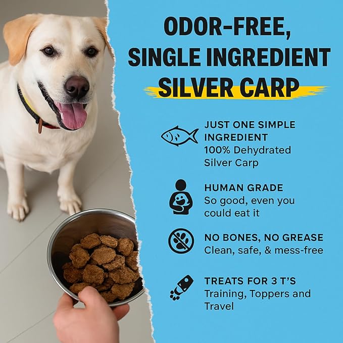 Ruff Town Dog Treats – Human Grade Silver Carp, Dehydrated Single Ingredient | High Protein & Omega Fatty acids for Dogs, Cats | Hypoallergenic, Ideal for All Breeds & Sizes, Made in USA (3 oz)