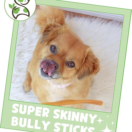 Nature Gnaws Super Skinny Bully Sticks for Small Dogs 5-6" (40 Count) - Long Lasting for Light Chewers and Puppies - Extra Thin Natural Beef Dog Chew Treats