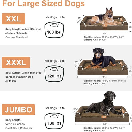 Large Dog Bed Orthopedic Washable: Beds Bolster XXL Bed Big XLarge Dogs Egg Crate Foam Sofa Couch Waterproof Removable Cover - Dark Coffee