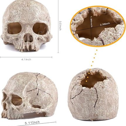 Carefree Fish Aquarium Decoration Skull Fish Tank Head Skeleton Aquarium Decorative Cave Landscape Pet Reptile House