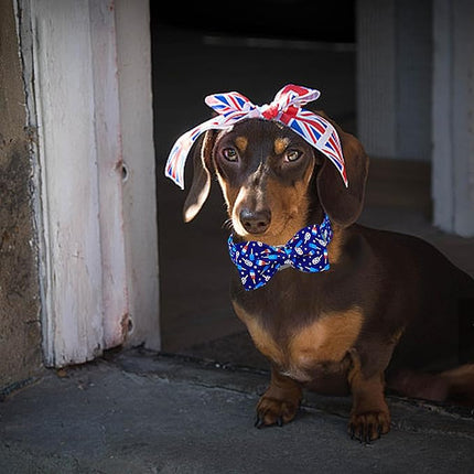 Lionheart glory American Flag Dog Collar 4 of July Independence Patriotic Dog Bow Collars Heavy Duty Adjustable Soft Collar with Bowtie for Small Dogs Pet Gift