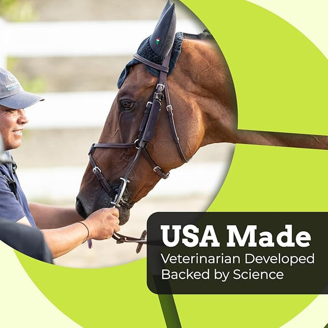 SynChill Oral Horse Supplement Gel, 100% Natural Nutritional Support, Helps Maintain Focus & Composure, Trusted by Equine Professionals, Drug-Free & Made in USA - 3-Pack