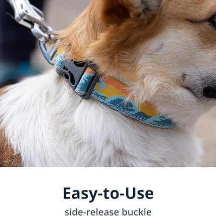 Ruffwear, Crag Dog Collar, Stylish Adventure Collar with Premium Reflective Design, Quick Release Buckle, Lightweight All-Day Comfort, Rising Wave, 11"-14"