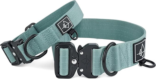 Made to ROAM Premium Dog Collar - Adjustable Heavy Duty Nylon Collar with Quick-Release Metal Buckle (Florida Seaside, Classic Size 0)