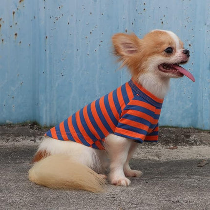 LOPHIPETS 100% Breathable Cotton Striped Dog Tee Shirt T-Shirt for Small Dogs Chihuahua Puppy Clothes -Orange and Blue Strips/L