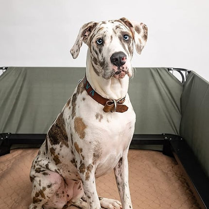 EZwhelp Reusable Dog Pee Pads - Dogs Waterproof Training Pads - Washable & Sanitary - Rounded Corners - Laminated, Lightweight, Durable - Pet Essentials Puppy Training, Whelping - 60" x 60"