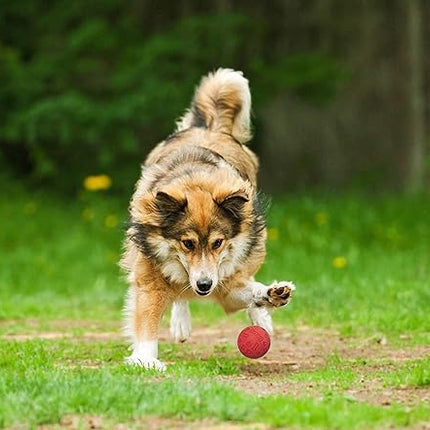 Snug Rubber Dog Balls for Small and Medium Dogs - Tennis Ball Size - Virtually Indestructible (3 Pack - Classic)