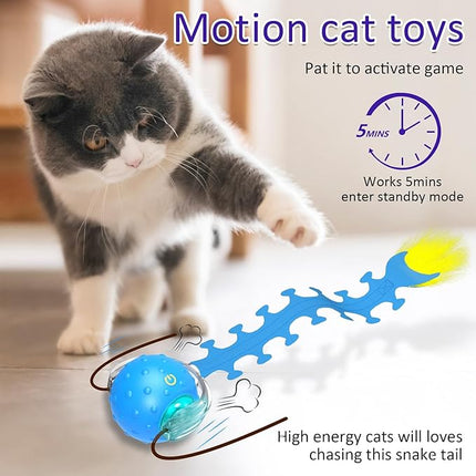 Interactive Cat Toys Ball for Indoor Cats Fast Rolling on Carpet, Chirping & Motion Activate Cat Toys (Blue Centipede)
