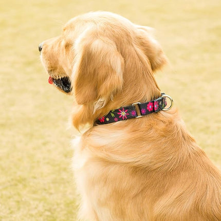 Comfortable Floral Print Martingale Dog Collars, Sun Flower, Large, Neck 17 Inch to 25 Inch, Adjustable Dog Collar Heavy Duty
