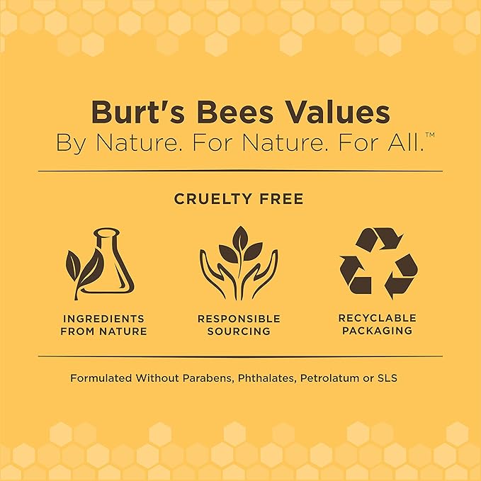 Burt's Bees for Pets Kitten Wipes with Buttermilk - Pet Wipes for Cats Waterless Bathing & Cleaning, Kitten Essentials, Gentle Cat Grooming Wipe for Face, Paws & Butt, 50 Count - 6 Pack