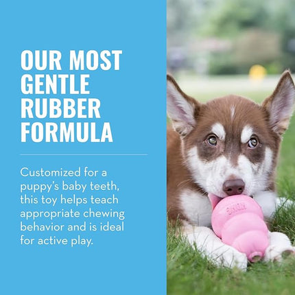 KONG - Puppy Toy Natural Teething Rubber - Fun to Chew, Chase and Fetch - for Medium Puppies - Pink