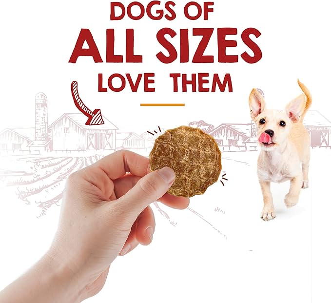 Riley's Waffles Chicken Chips for Dogs - USA Sourced Chicken Dog Treats Single Ingredient Healthy Dog Treats - Dehydrated Chicken Jerky Dog Treats Made in The USA - 5.5 oz