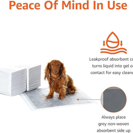 Amazon Basics Carbon Odor-Control Dog and Puppy Pee Pads, 5-Layer Leak-Proof Super Absorbent, Quick-Dry Surface, Potty Training, Regular (22x22"), 80 Count, Gray