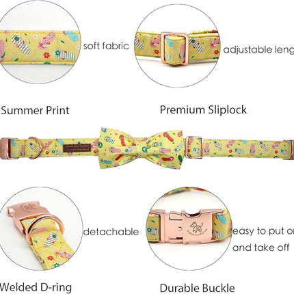 Elegant Little Tail Bowtie Dog Collar for Small to Large Dogs